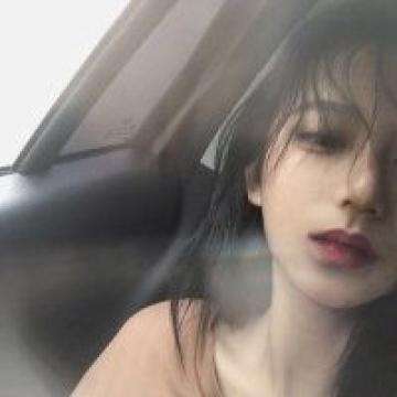 宠物小精灵3ds手机版下载